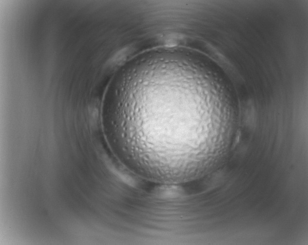 X0000081600427200701221141