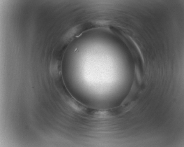 X0000081600428200701221141