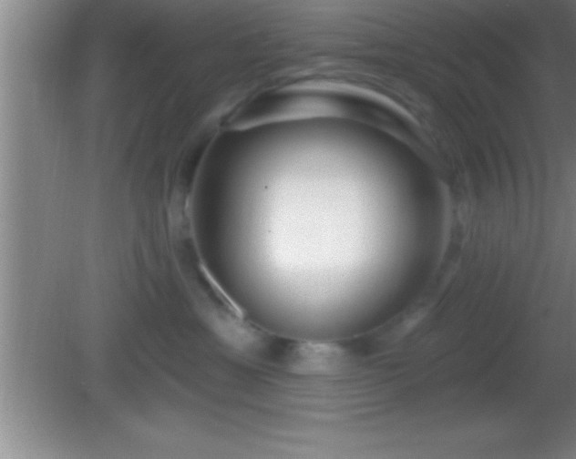 X0000081600429200701221141