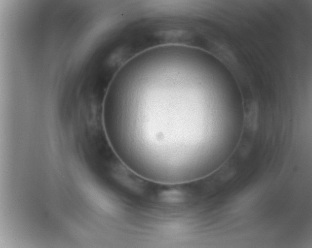 X0000081600430200701221141