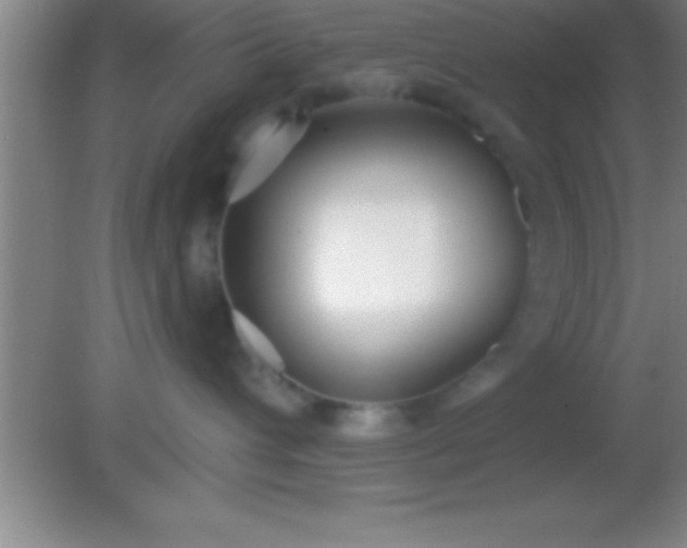 X0000081600432200701221141