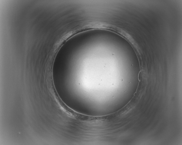 X0000081600433200701221140