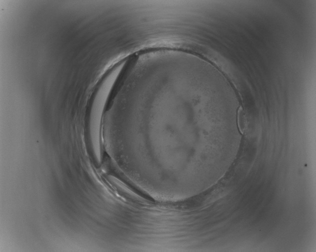 X0000081600434200701221140