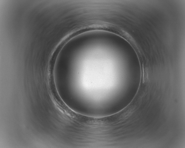 X0000081600435200701221140