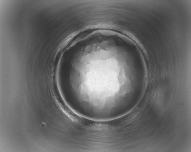 X0000081600437200701221140