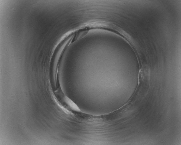 X0000081600438200701221140