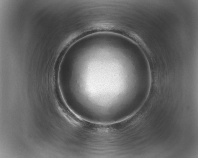 X0000081600439200701221140