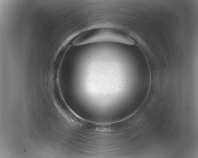 X0000081600440200701221140