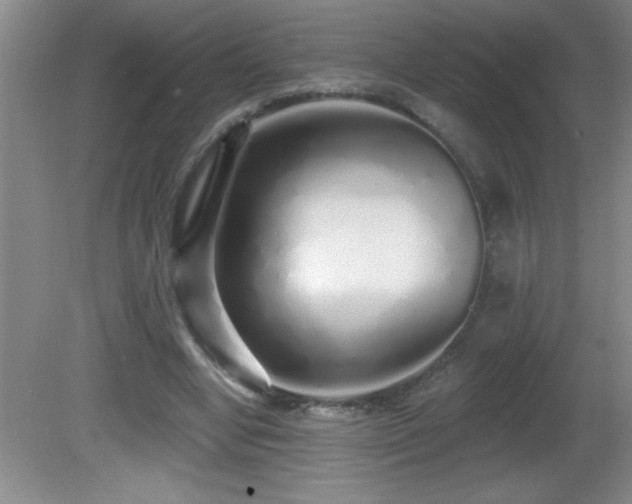 X0000081600442200701221140