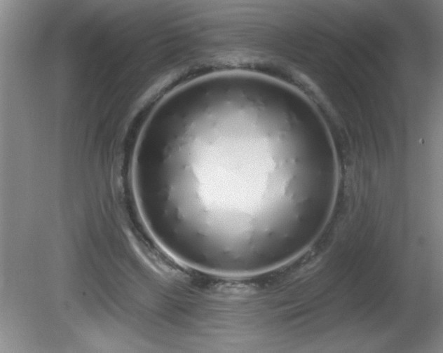 X0000081600443200701221140