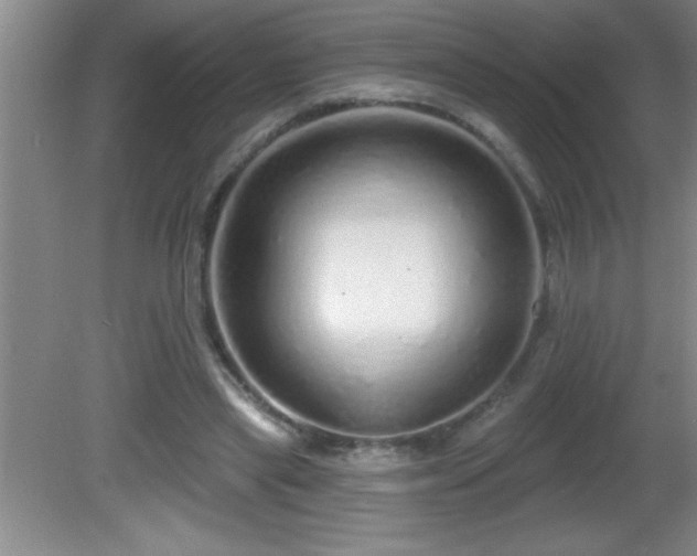 X0000081600445200701221140