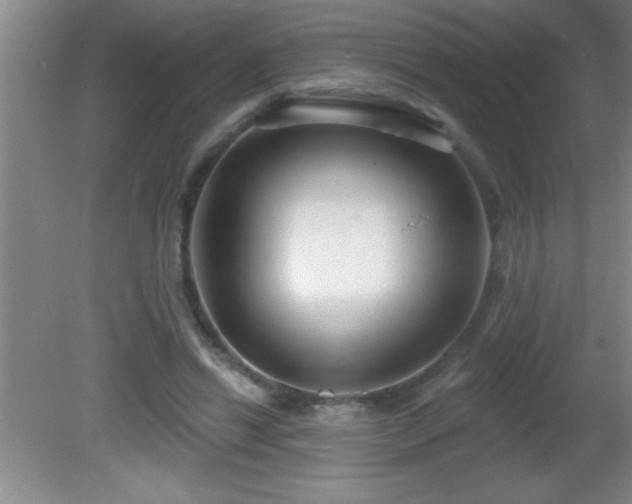 X0000081600446200701221140