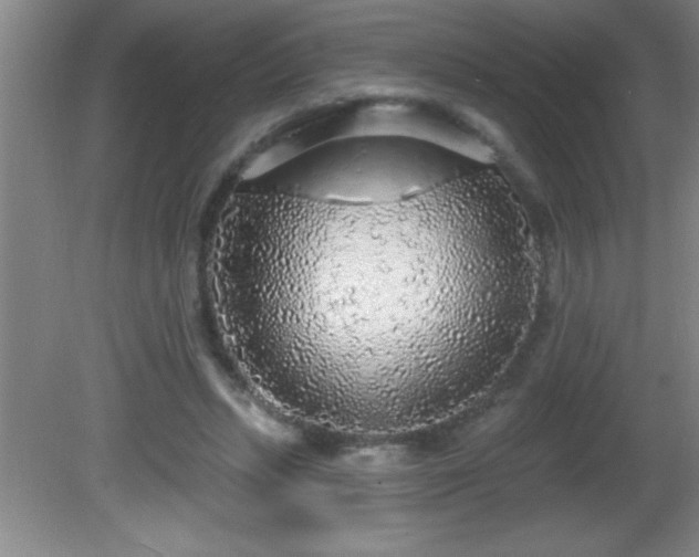 X0000081600447200701221141