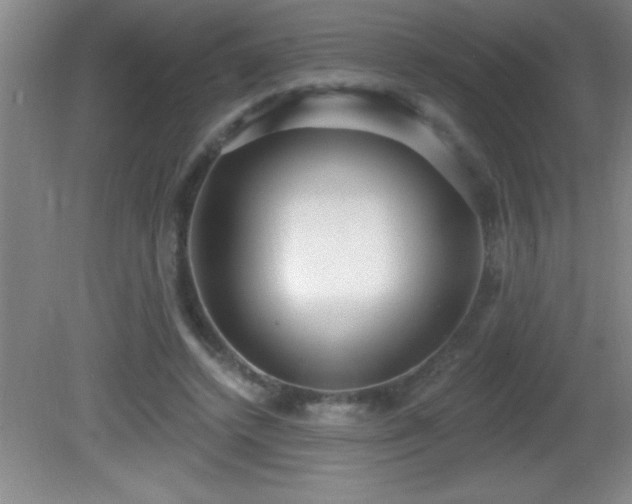 X0000081600448200701221141