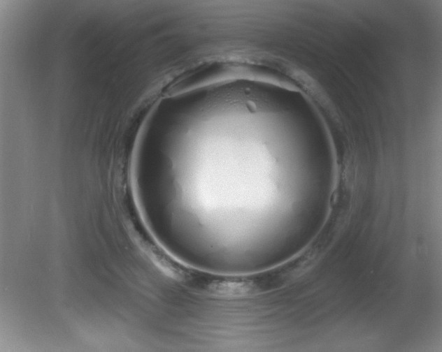 X0000081600449200701221141