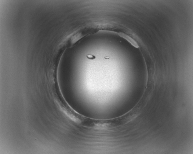 X0000081600450200701221141