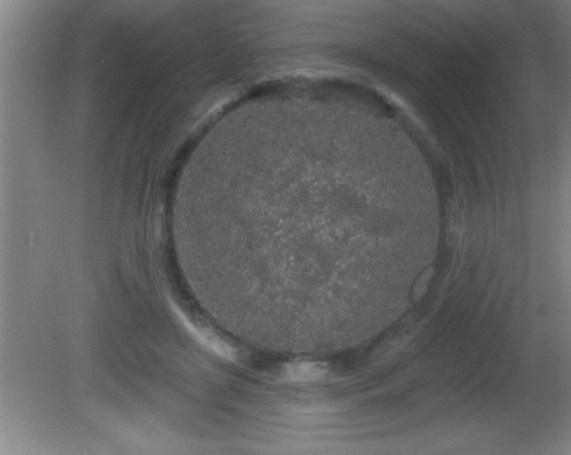 X0000081600451200701221141