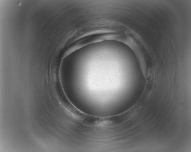 X0000081600452200701221141