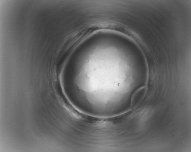 X0000081600453200701221141