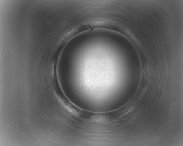 X0000081600454200701221141