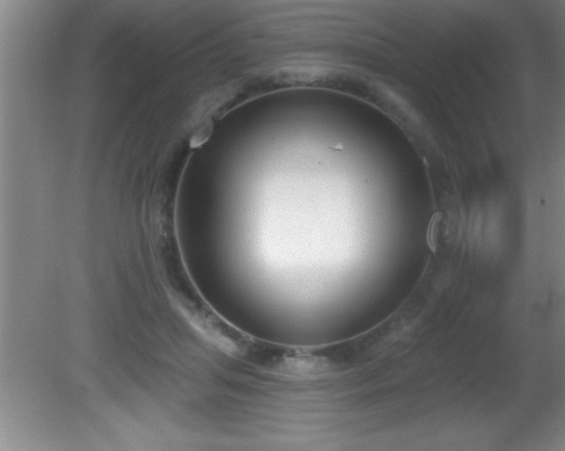 X0000081600455200701221141