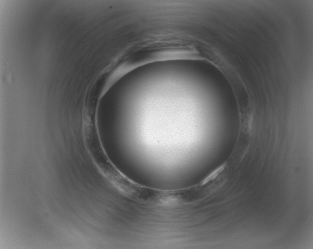 X0000081600456200701221141