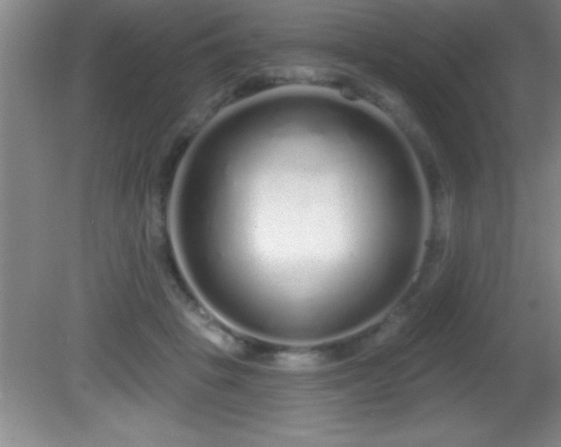 X0000081600457200701221141