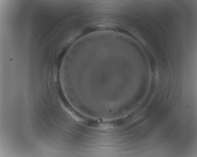 X0000081600458200701221141