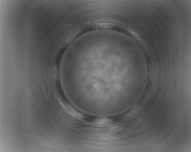 X0000081600459200701221141