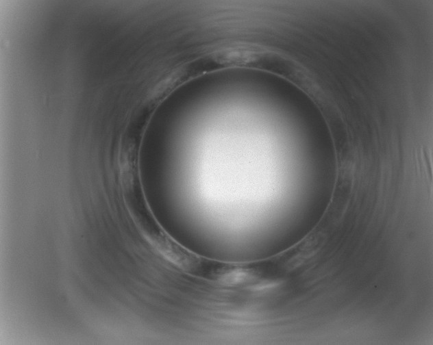 X0000081600460200701221141