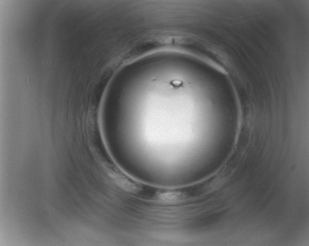 X0000081600461200701221141