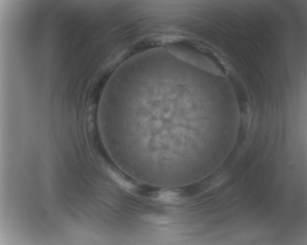 X0000081600462200701221141