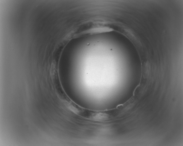 X0000081600463200701221141