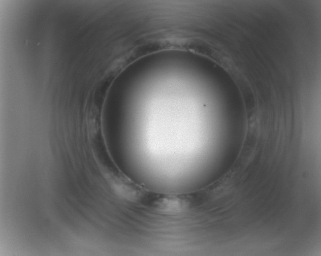 X0000081600464200701221141