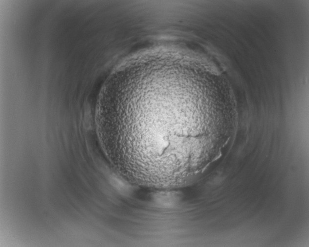 X0000081600465200701221141