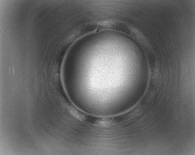 X0000081600466200701221141