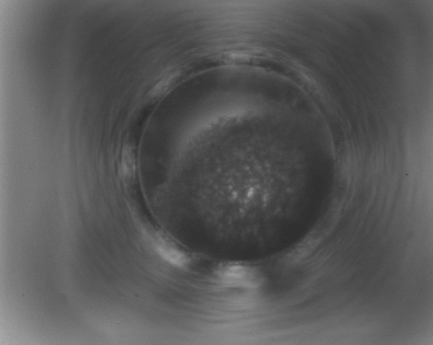 X0000081600467200701221141