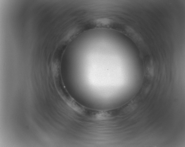 X0000081600468200701221141