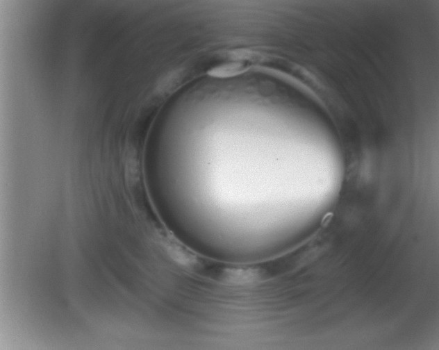 X0000081600469200701221141