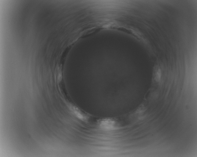 X0000081600471200701221141