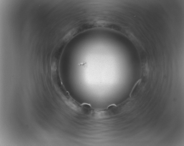 X0000081600472200701221141