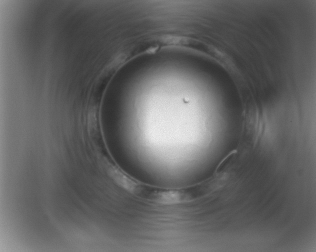 X0000081600473200701221141