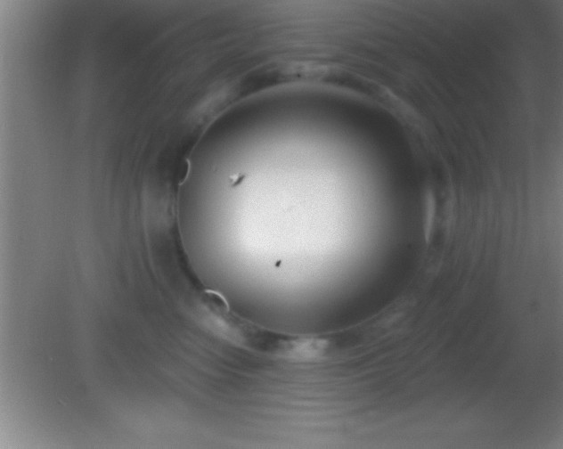 X0000081600474200701221141