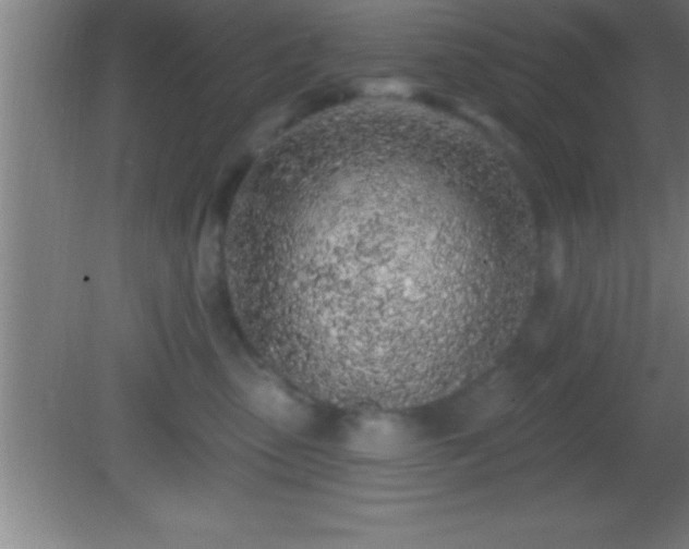 X0000081600475200701221141