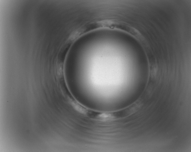 X0000081600477200701221141