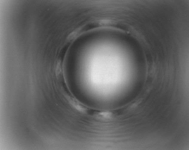 X0000081600478200701221141