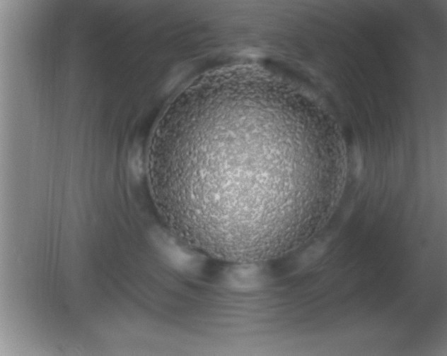 X0000081600479200701221141