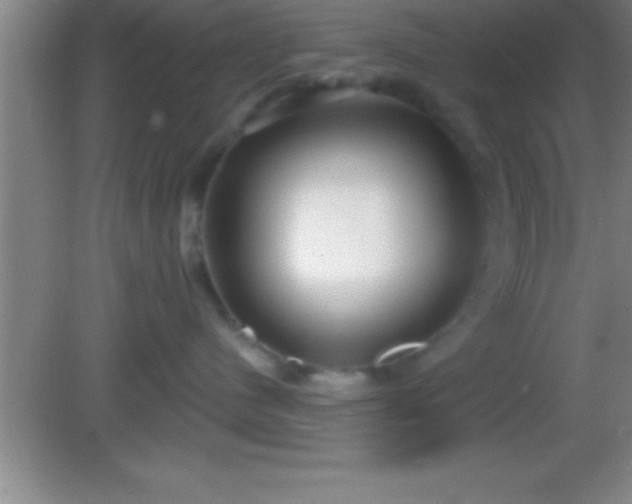 X0000081600480200701221141