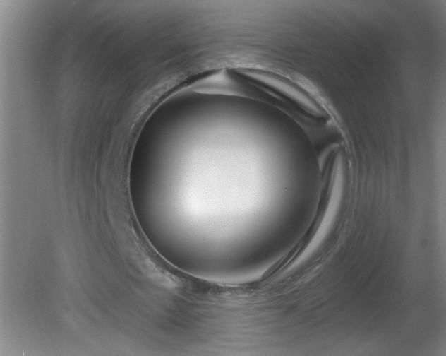 X0000081600481200701221140