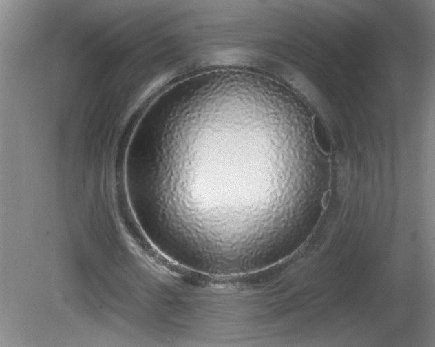 X0000081600482200701221140